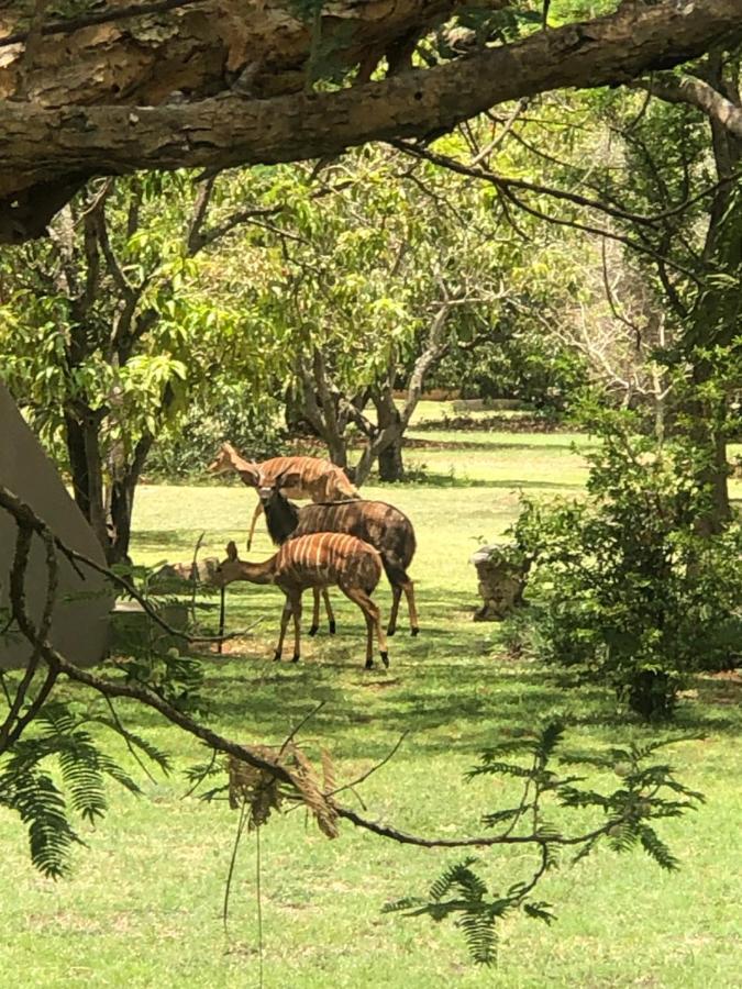 Hotel Jock Of The Bushveld Barberton Exterior foto